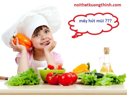 Các kiểu dáng máy hút mùi hiện nay